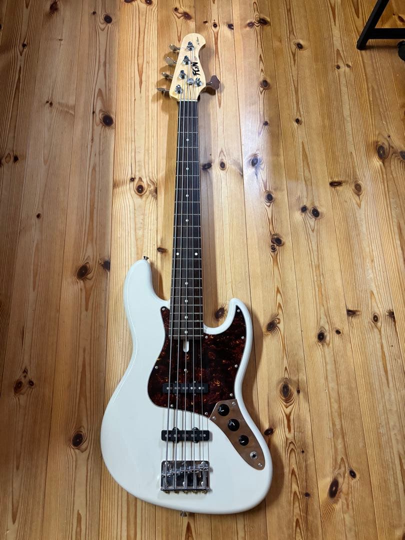 FUJIGEN NJB100RALV 5弦ベース