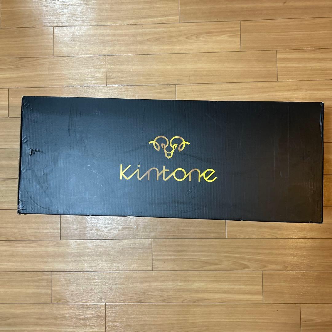 キントーン オフロード | Kintone Offroad (ミニセグウェイ)