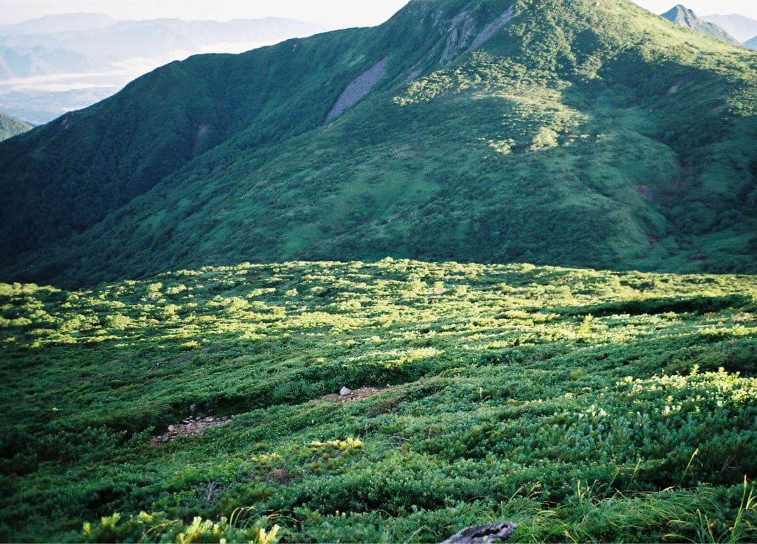 Contax T2 チタンブラック データパック付き