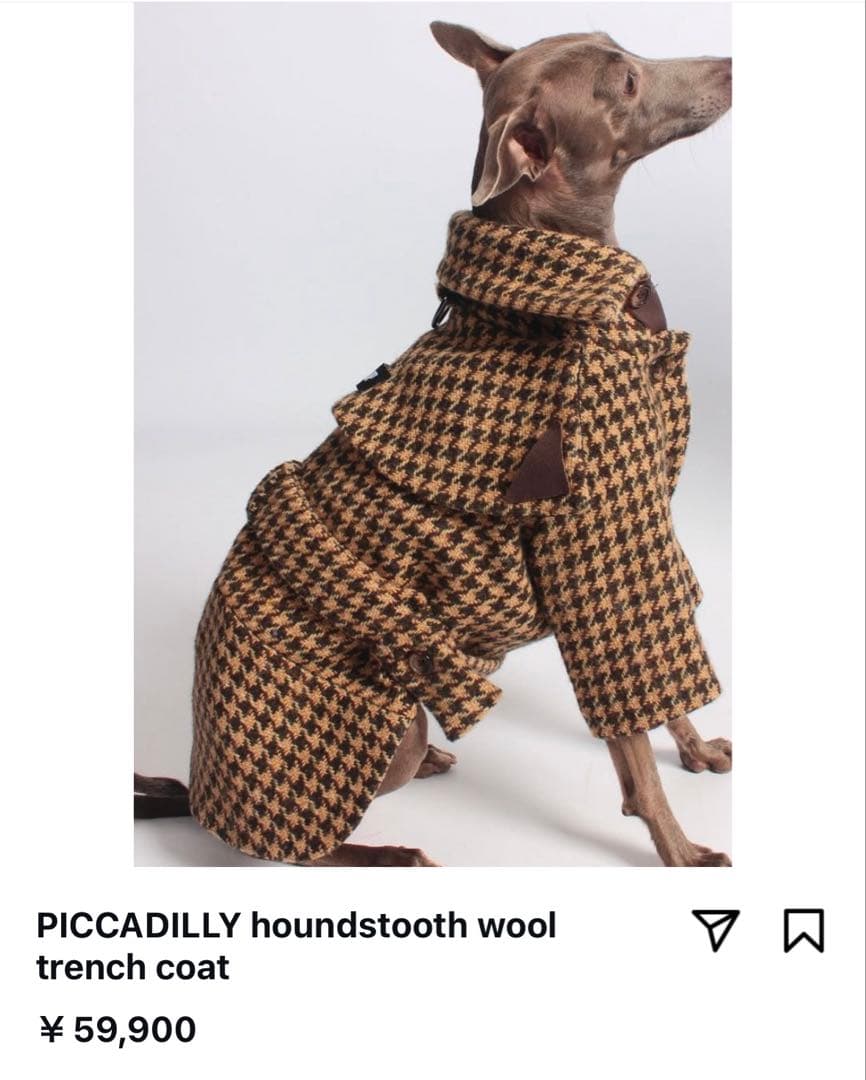 イタグレ　XSサイズ ウールコート