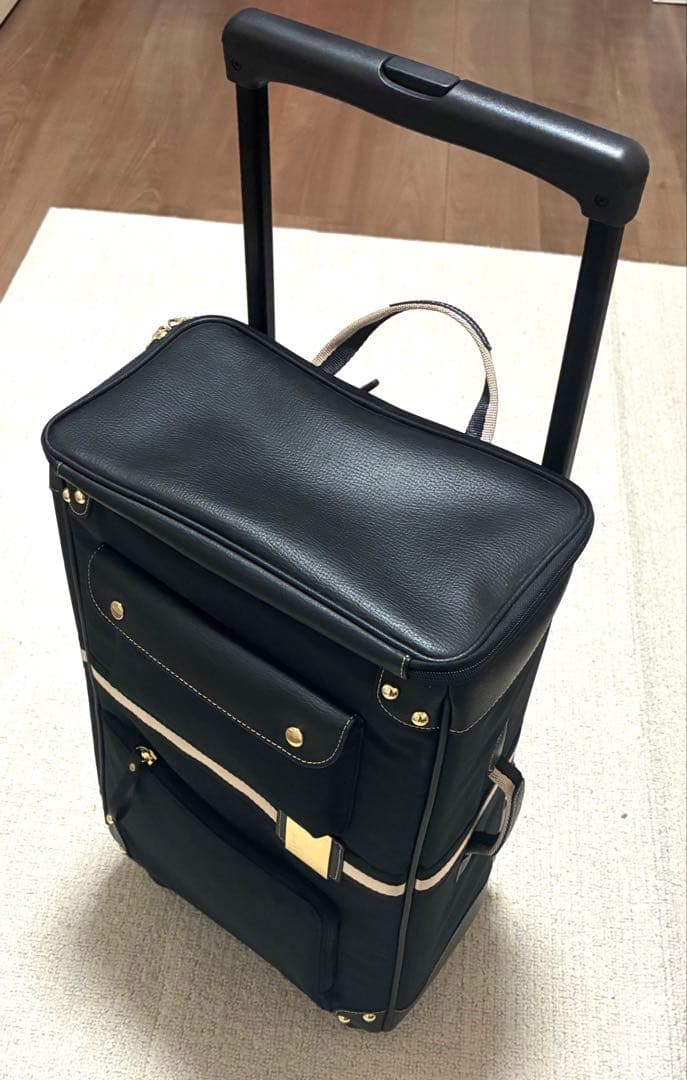 【美品】SWANY スワニー バニティー トラベル　キャリーケース