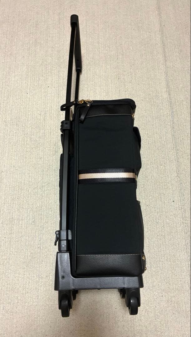 【美品】SWANY スワニー バニティー トラベル　キャリーケース