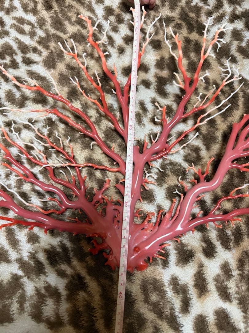 珊瑚　原木　置物