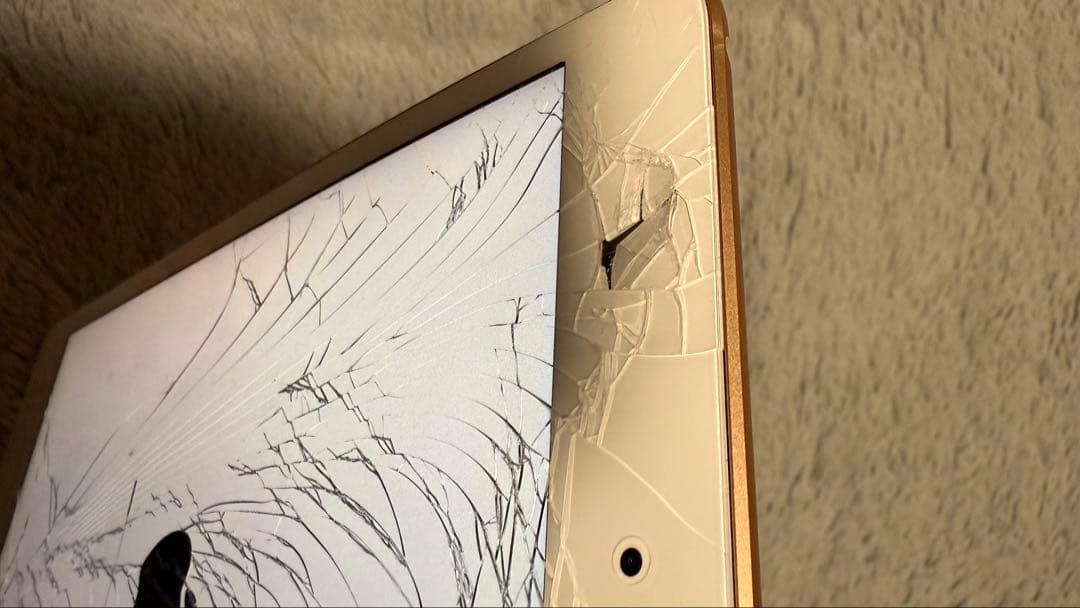 【ジャンク品】Apple iPad mini 第5世代　64GB 　本体のみ