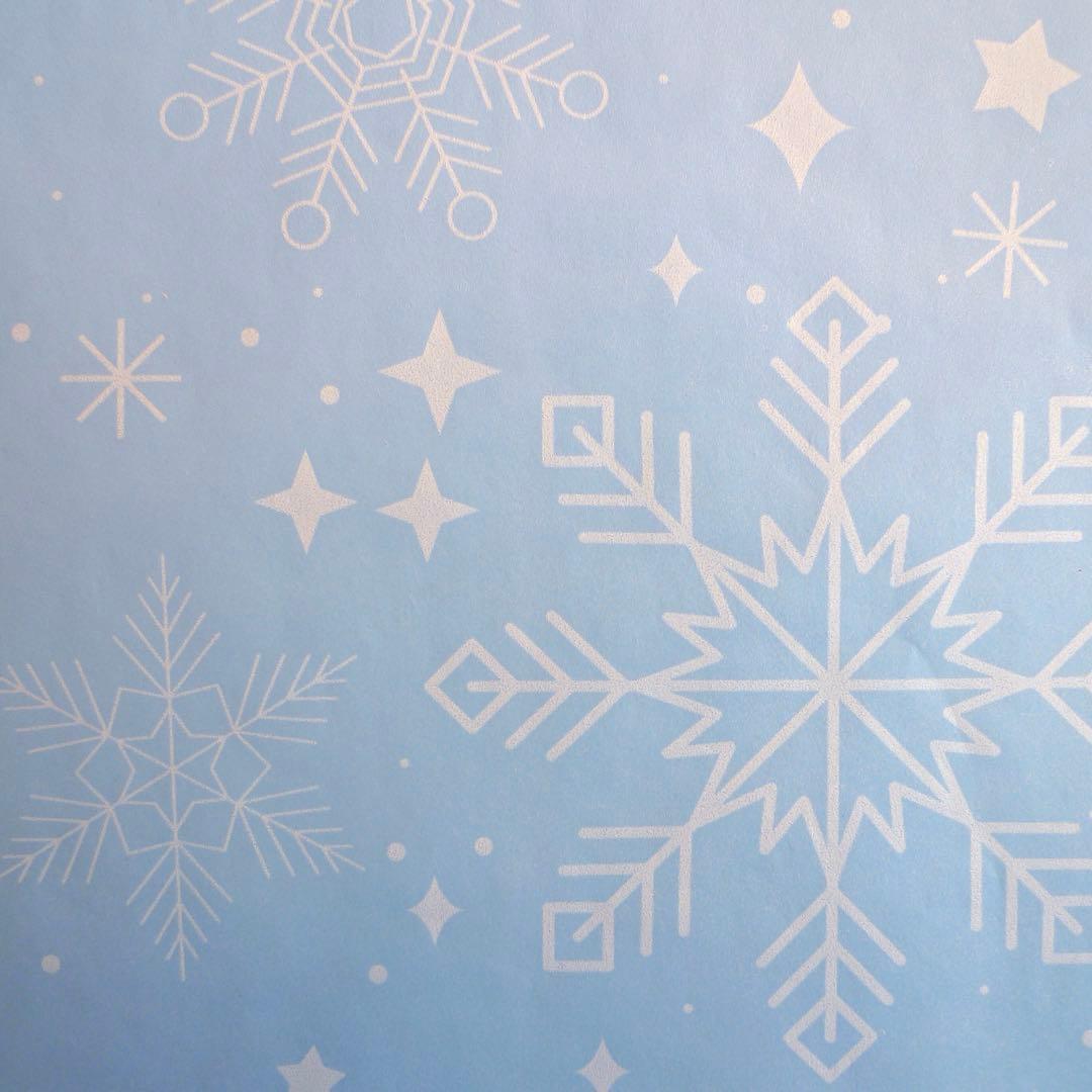 【ご予約品】R89 薄葉紙20枚セット(980)B