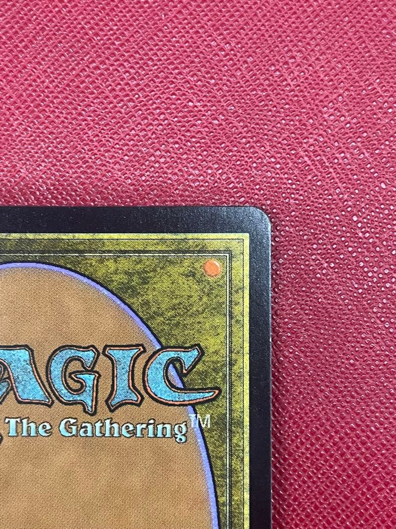 MTG 湿った墓 FOIL 英語版 ZEN EXP ゼンディカー