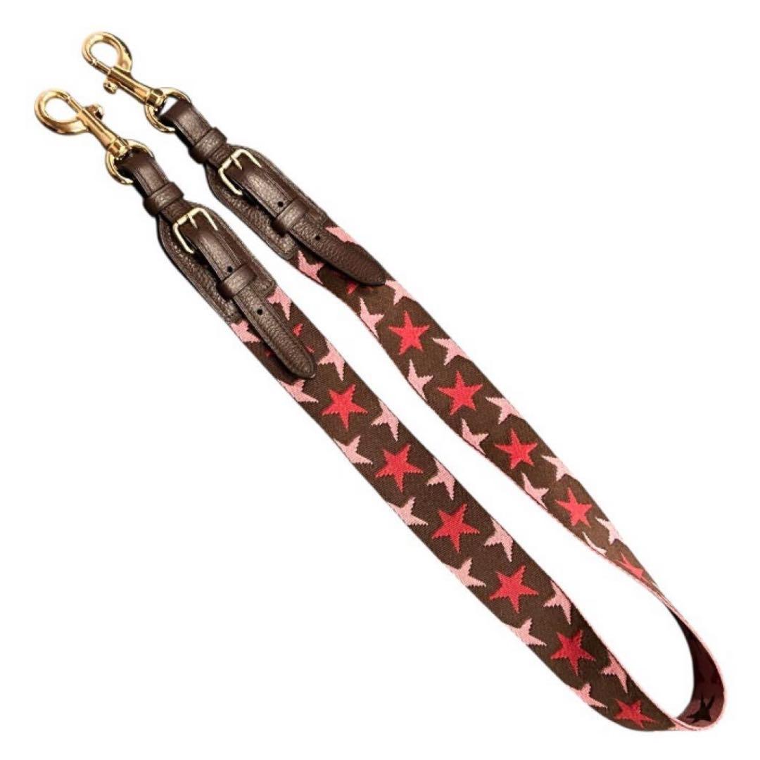 Seiko様 極美品✨コーチ ショルダーバッグ ピンク レザー 4521収納抜群