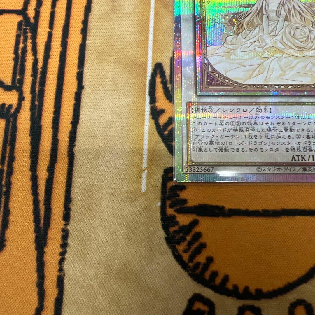 遊戯王　ガーデンローズメイデン　プリレア　プリズマ　ドゥームオブディメンションズ