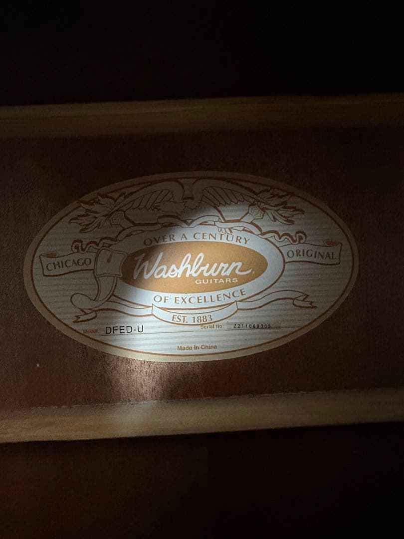 Washburn アコースティックギター ブラウン