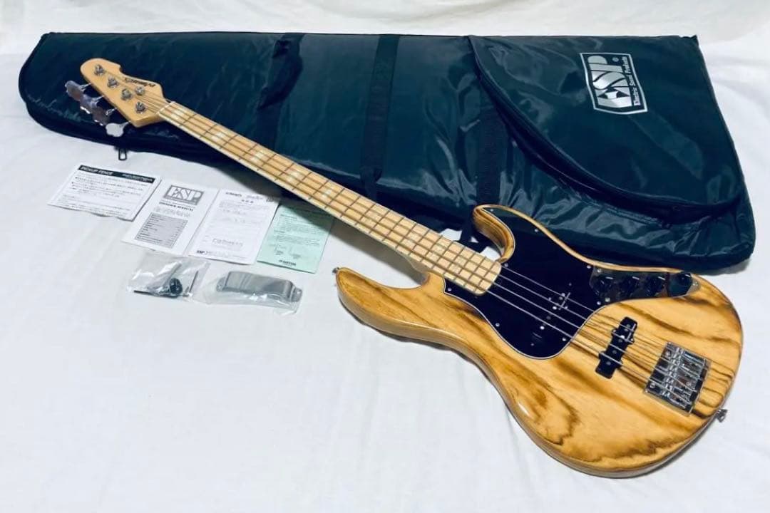 Edwards E-AM-155AS/M ベース アームレスト ESPケース付