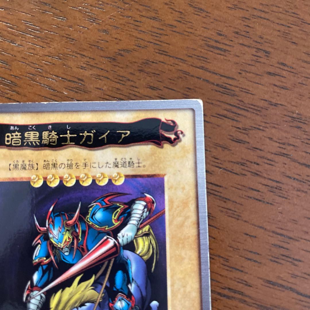 暗黒騎士ガイア (41)