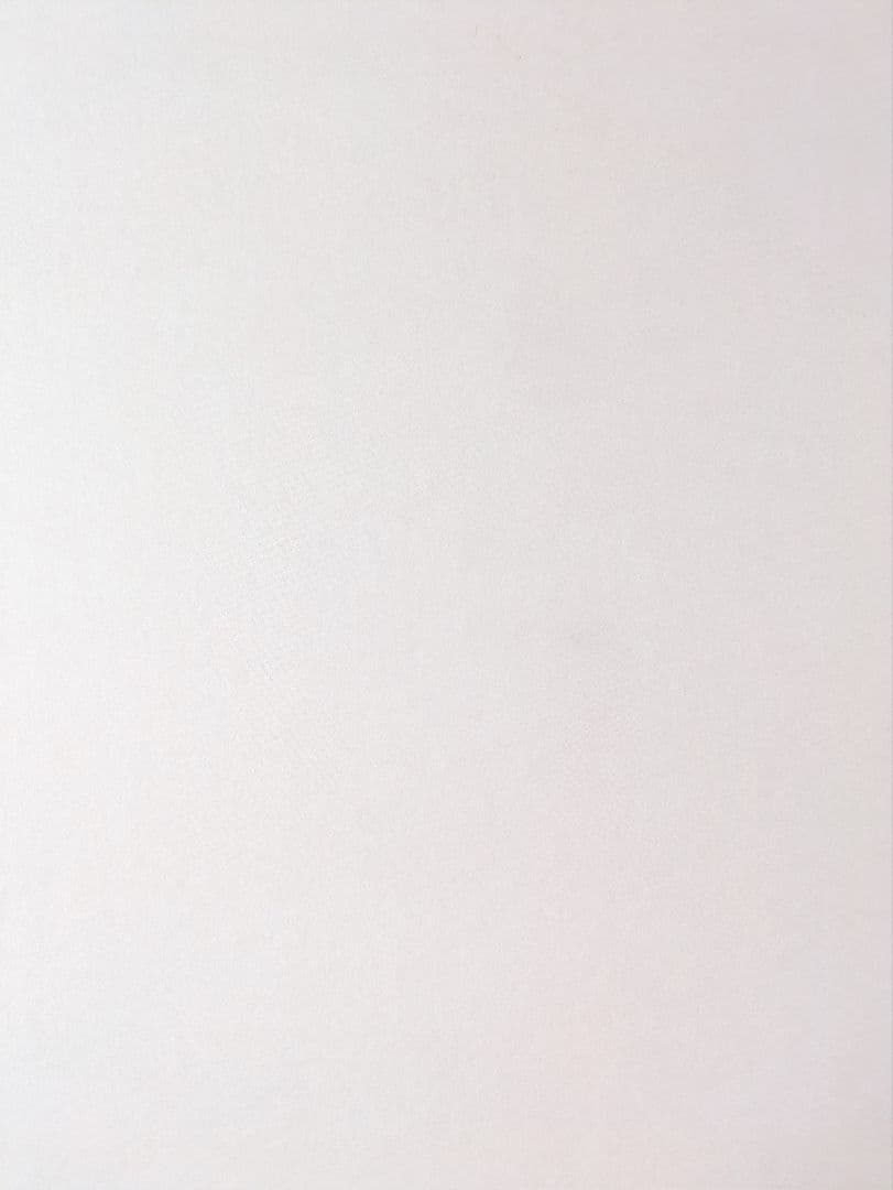 ★しゅんこう ちぎり絵製作キット(白い花車) 特大色紙１セット