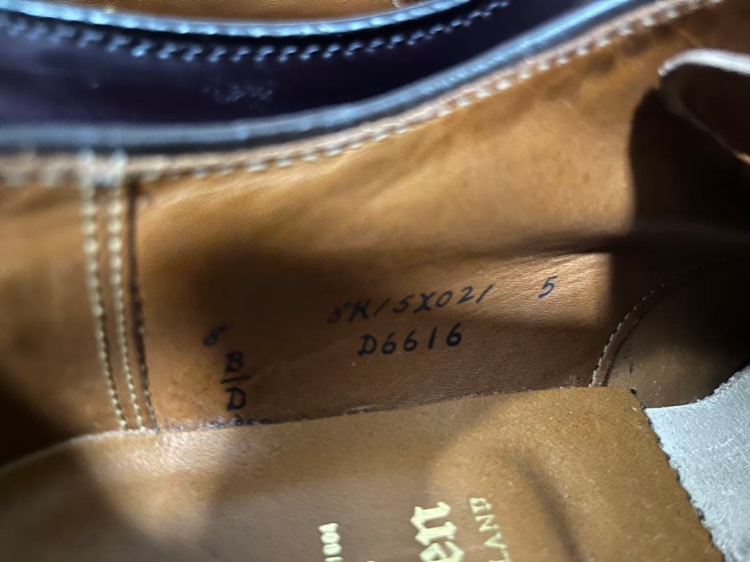 ALDEN オールデン Vチップ コードバン 8D