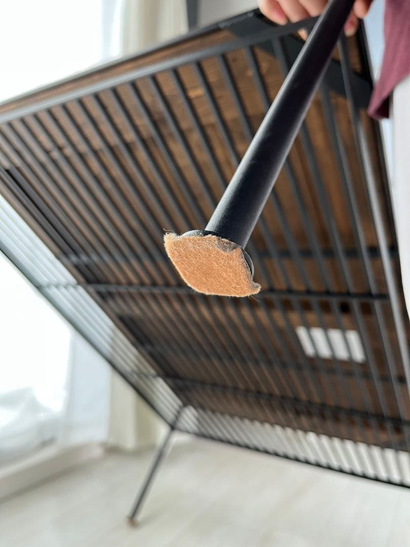 【追いパクチー】