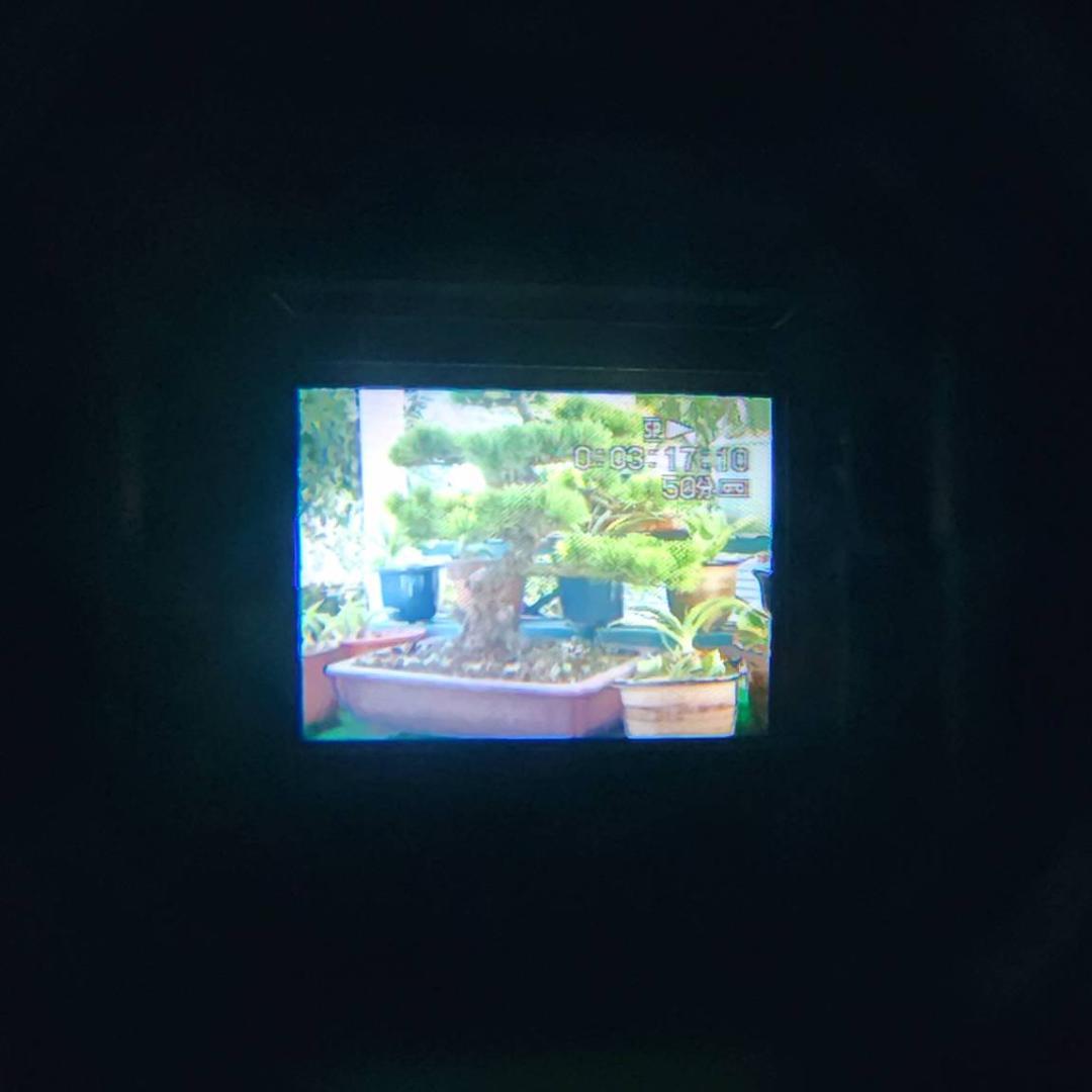 【動作確認済】高画質 SONY MiniDV ビデオカメラ DCR-PC10