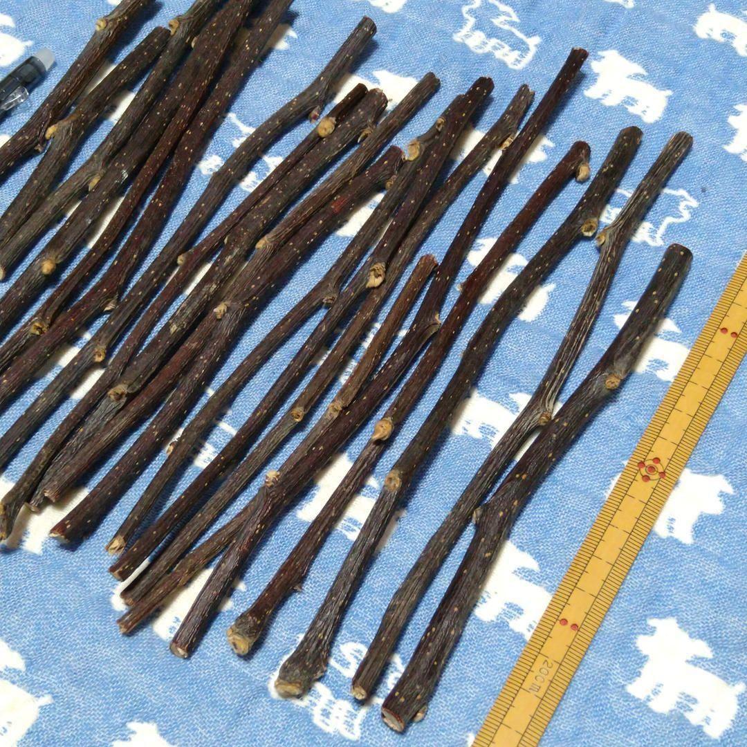 ロングタイプ75g20本前後、乾燥梨の木、小動物デグーハムスターおもちゃかじり木