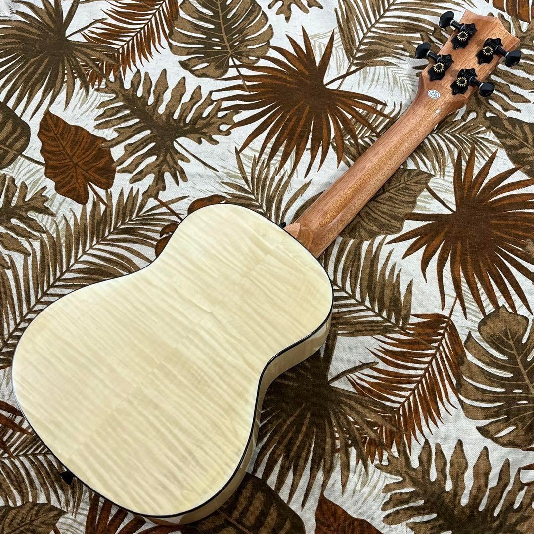 【Acoway】カナダ産フレイムメイプル材・コンサートウクレレ【ウクレレ専門店】