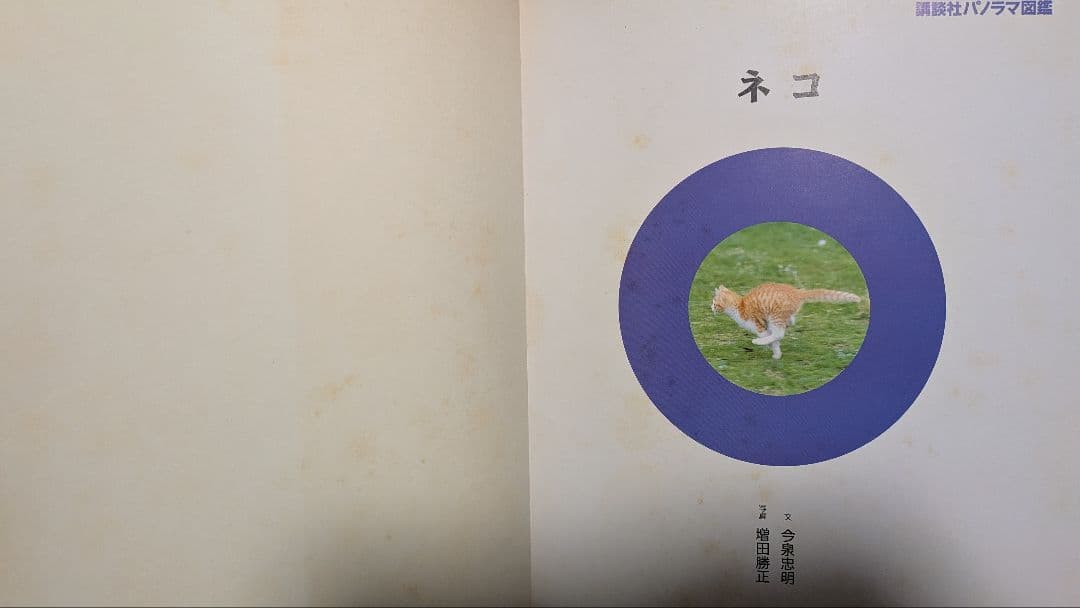 ネコ 図鑑 年代物