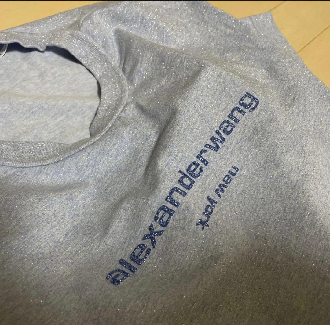 【即購入可】alexanderwan/ラメTシャツ ライトブルー
