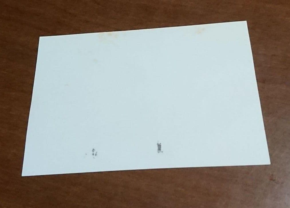 B'z 松本孝弘 稲葉浩志 使用済み イベント チケット