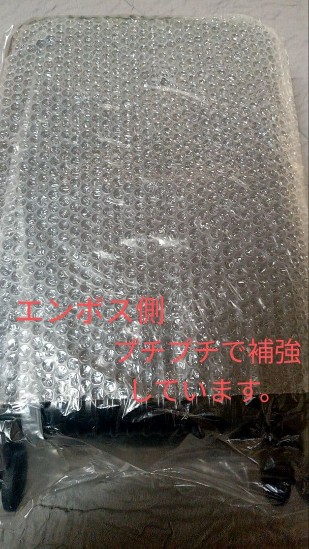 Roco　新日本プロレス『WRESTLE KINGDOM 2023』50