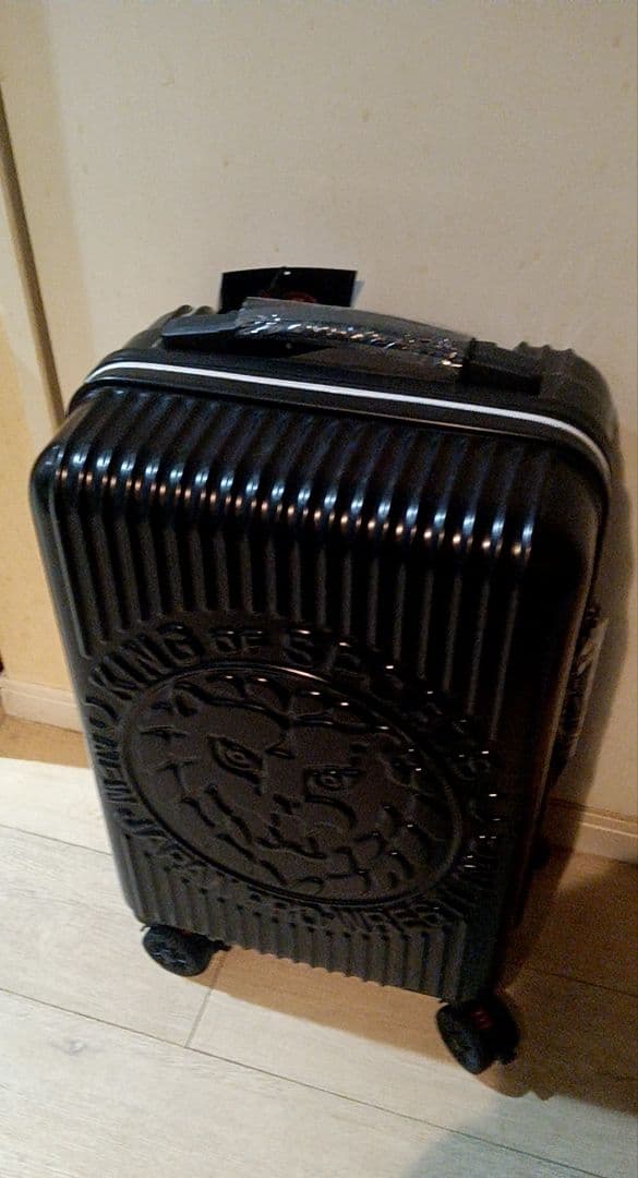 Roco　新日本プロレス『WRESTLE KINGDOM 2023』50