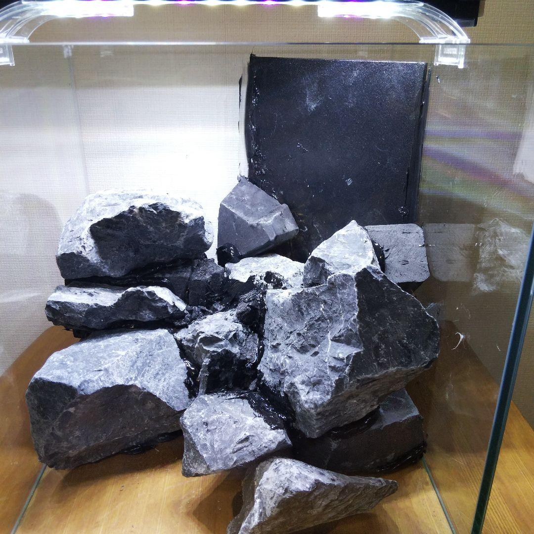 アクアテラリウム製作キット　イモリウム