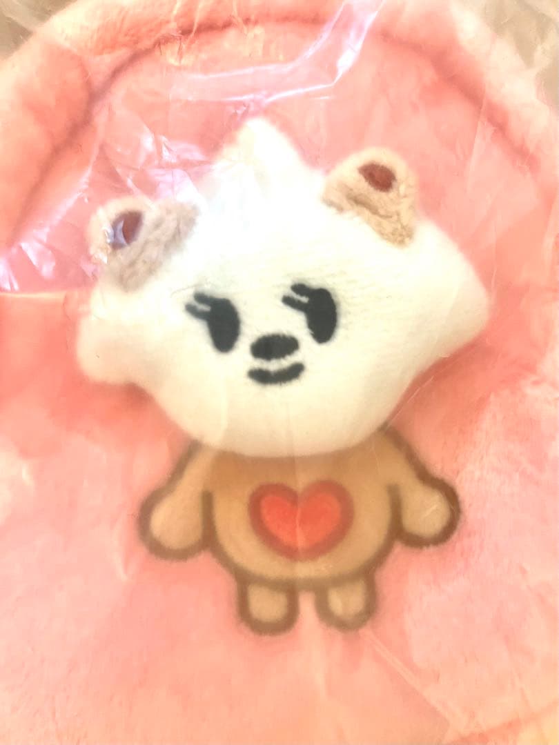 TXT日本限定PPLLUBATU FINDING MOA MULTI POUCH