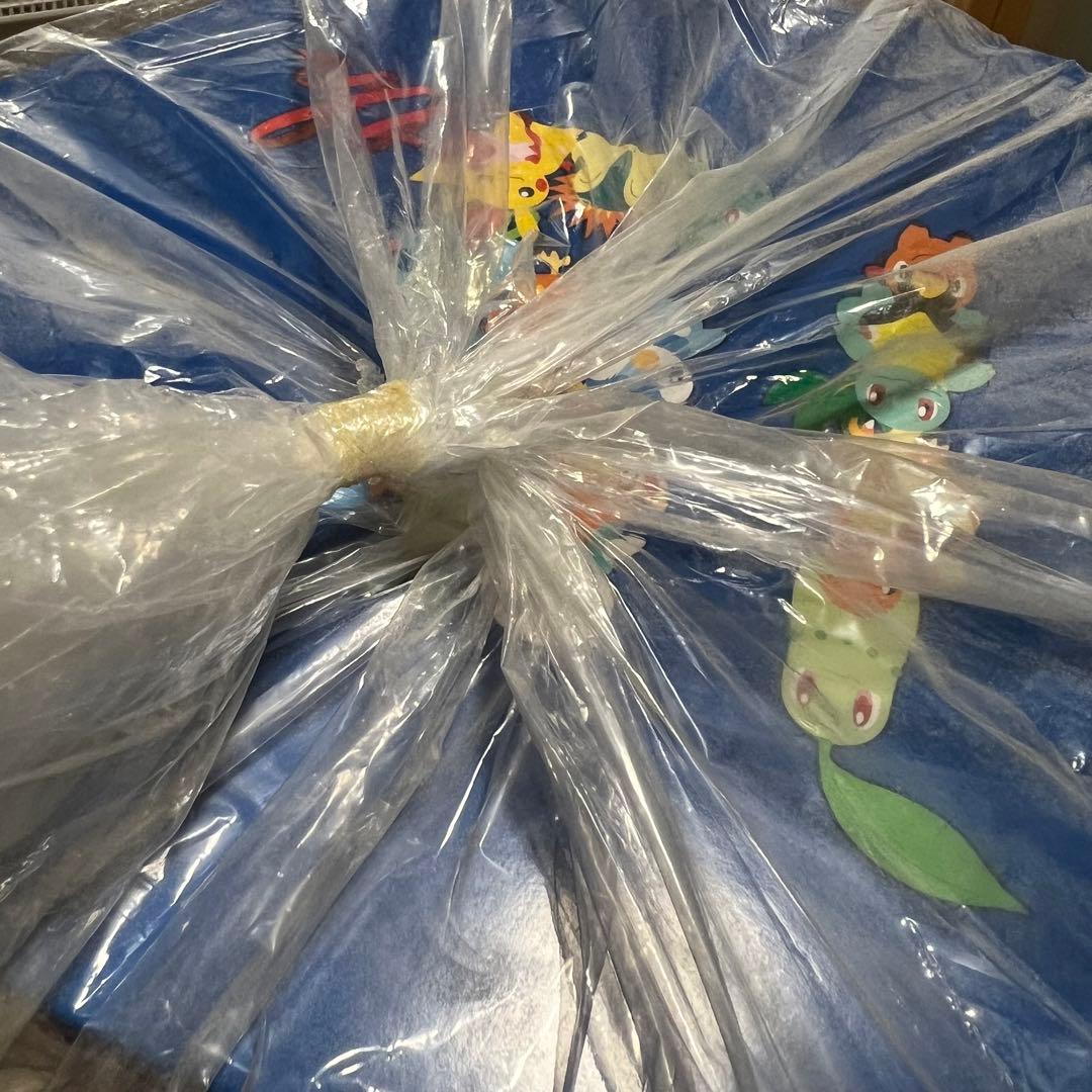 ポケモンセンター 15周年 ポケモンバッジ151