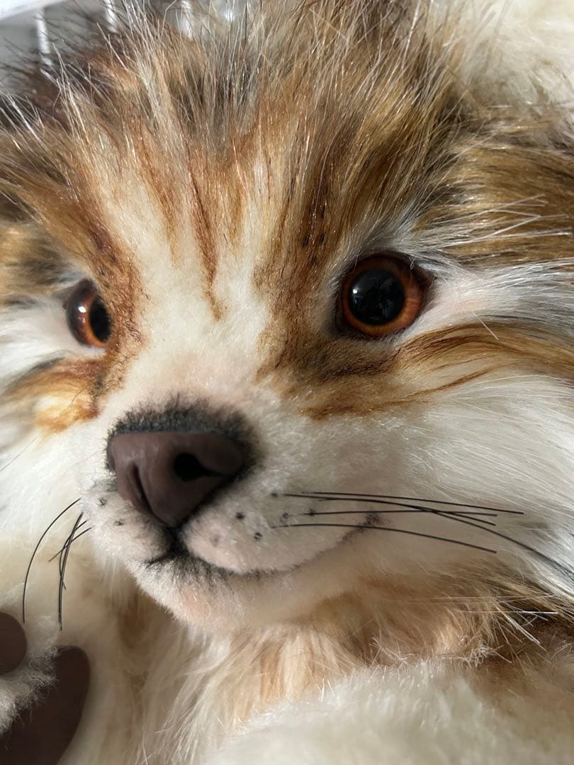 海外作家様　ぬいぐるみ　テディベア　アートドール　たぬき