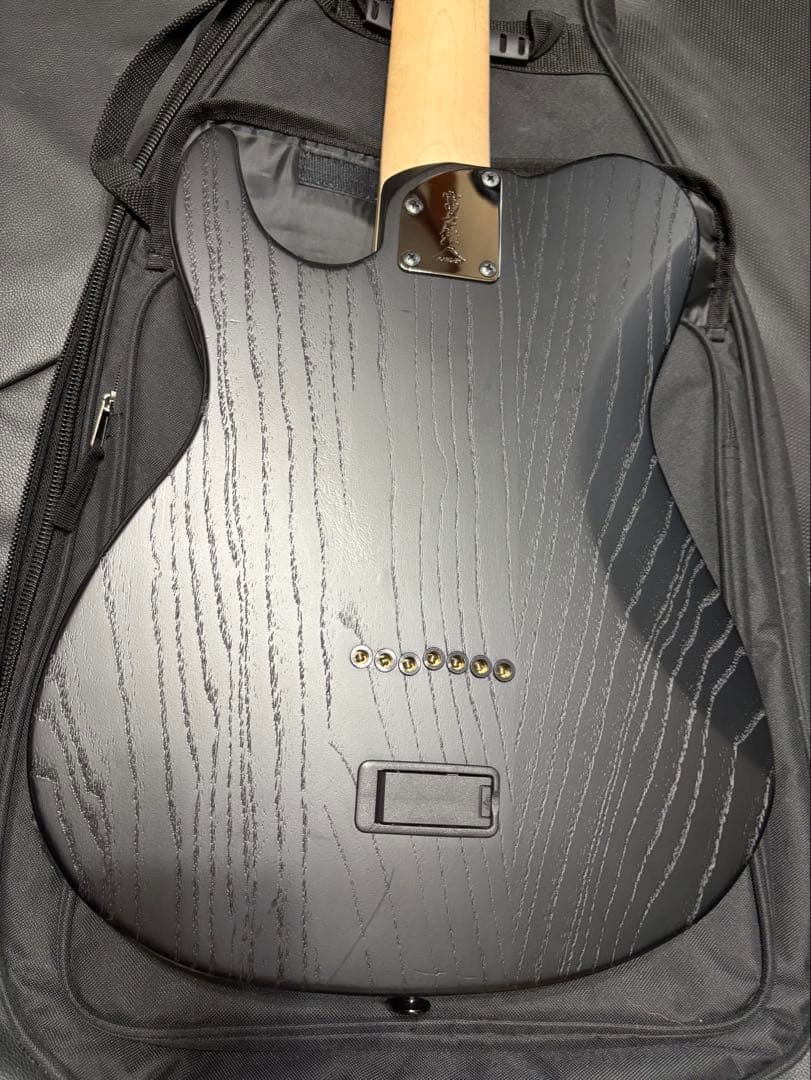 【ぶたさん】FUJIGEN(FGN) JIL72-ASH-DE-R