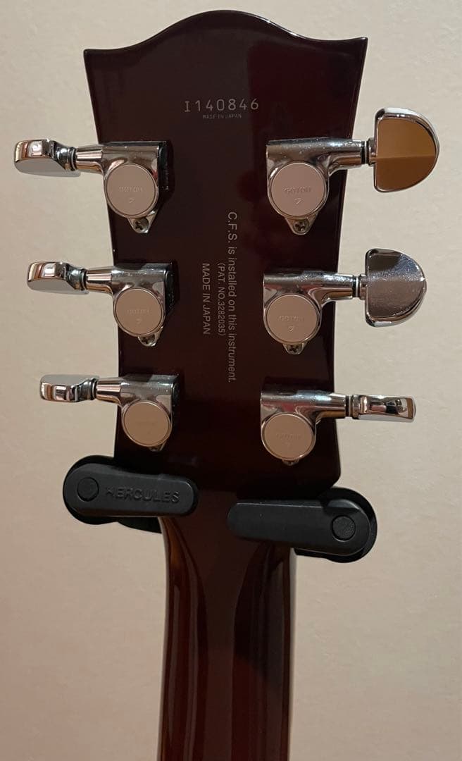 FGN（フジゲン）　NLS200-LD