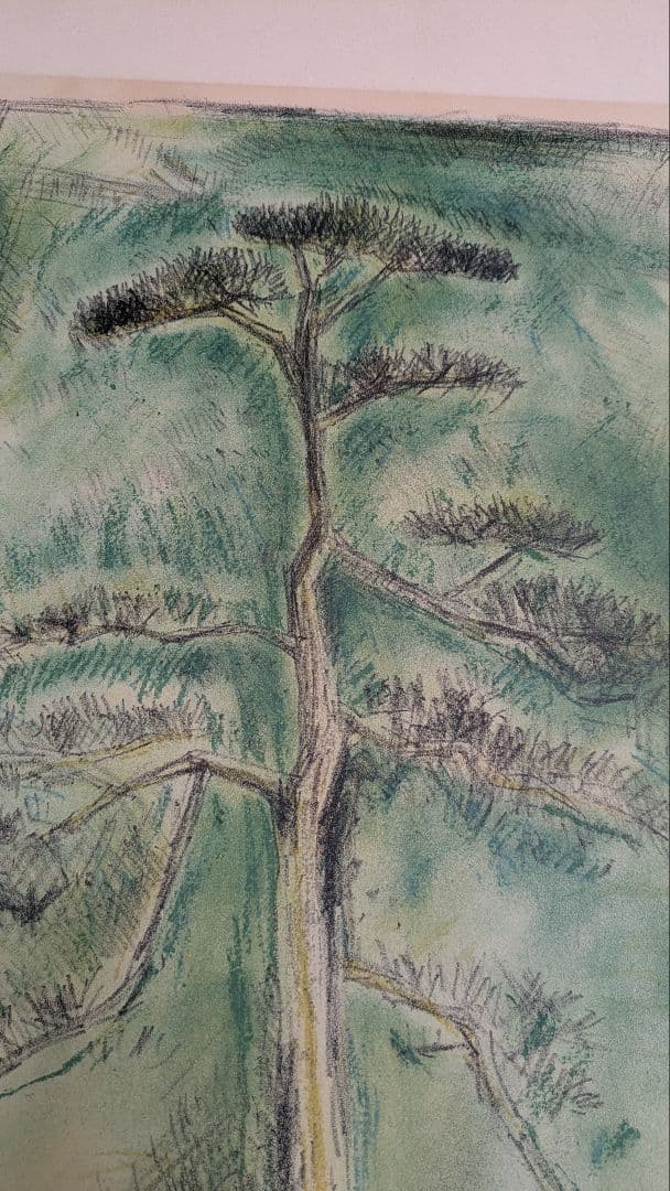 新道繁 リトグラフ 松 ガラス入り 額つき 【自宅保管品】