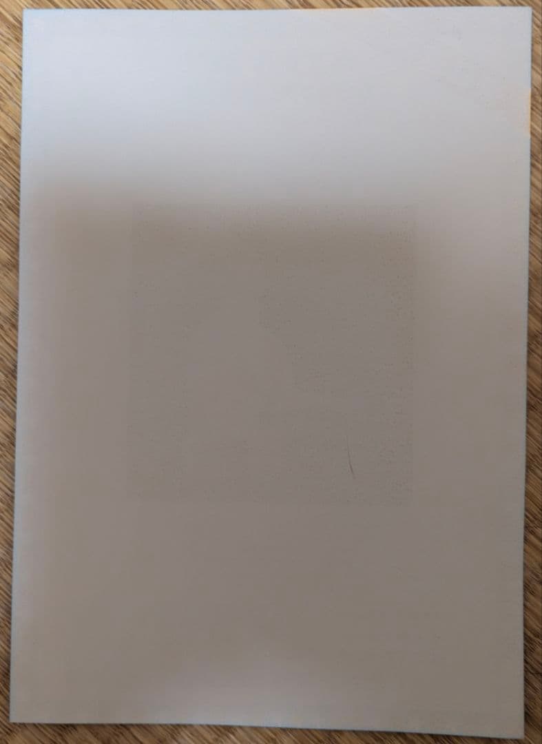 1975年 スティービーワンダー 日本武道館公演 チラシ 当時物