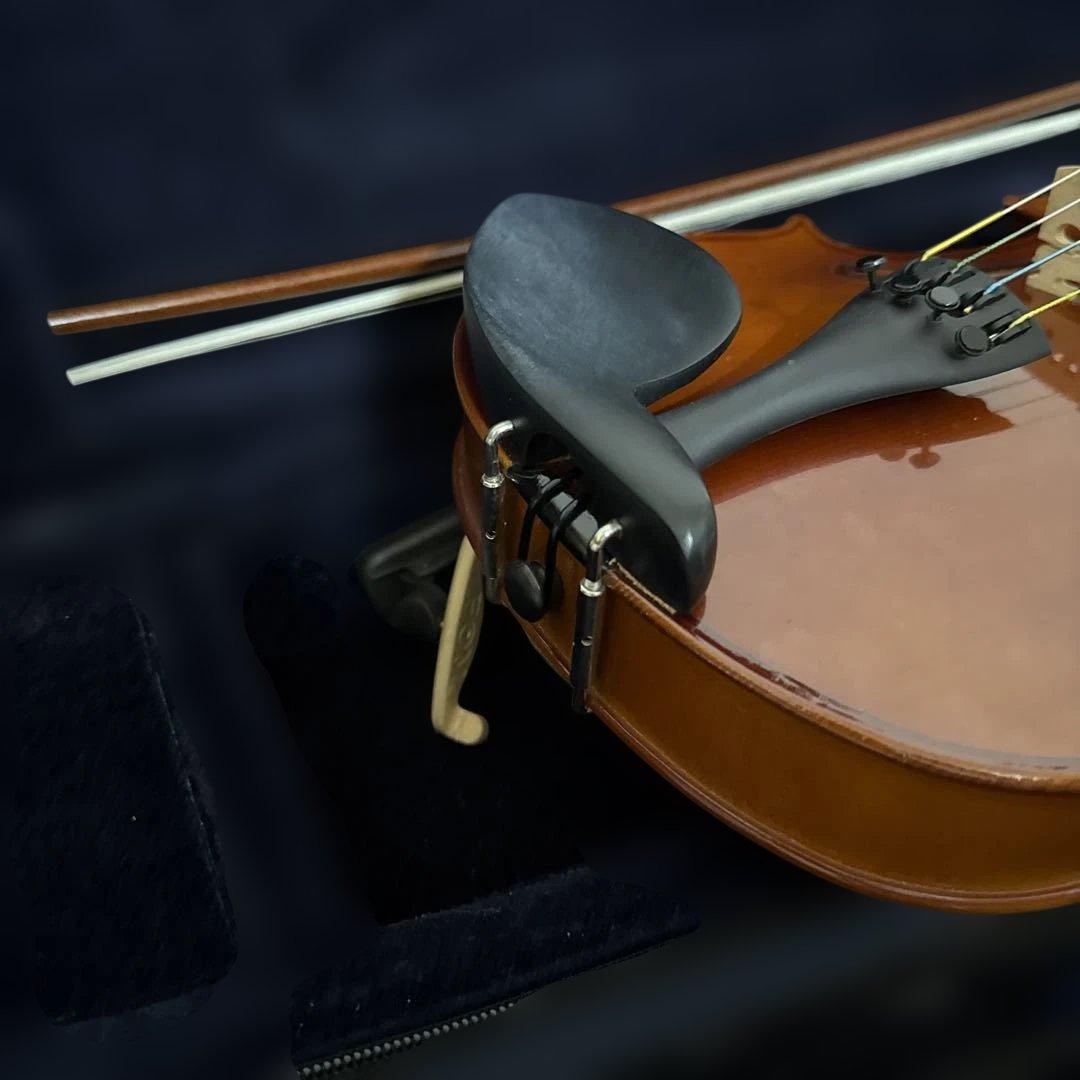 整備済み Carlo Giordano VS-1 4/4サイズ バイオリン