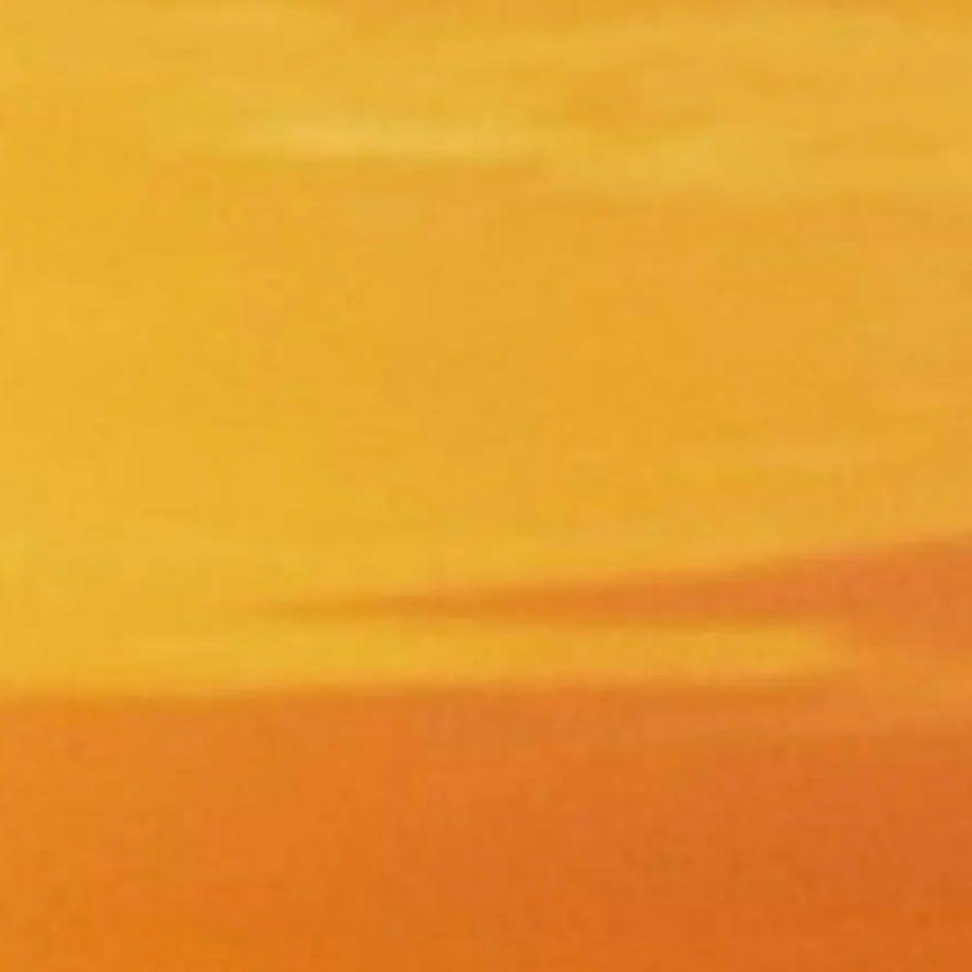 タイツ　ブラック