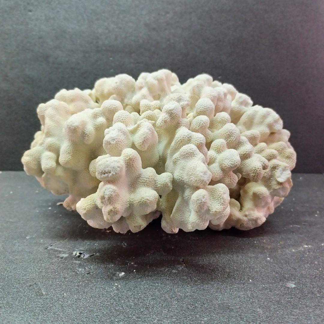 MURANO de majo デマヨ社製 1988'ムラーノ グラス 大皿