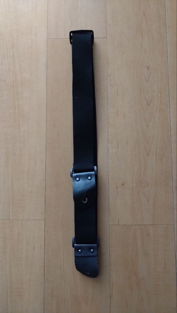 ギター Epiphone Les Paul Special II