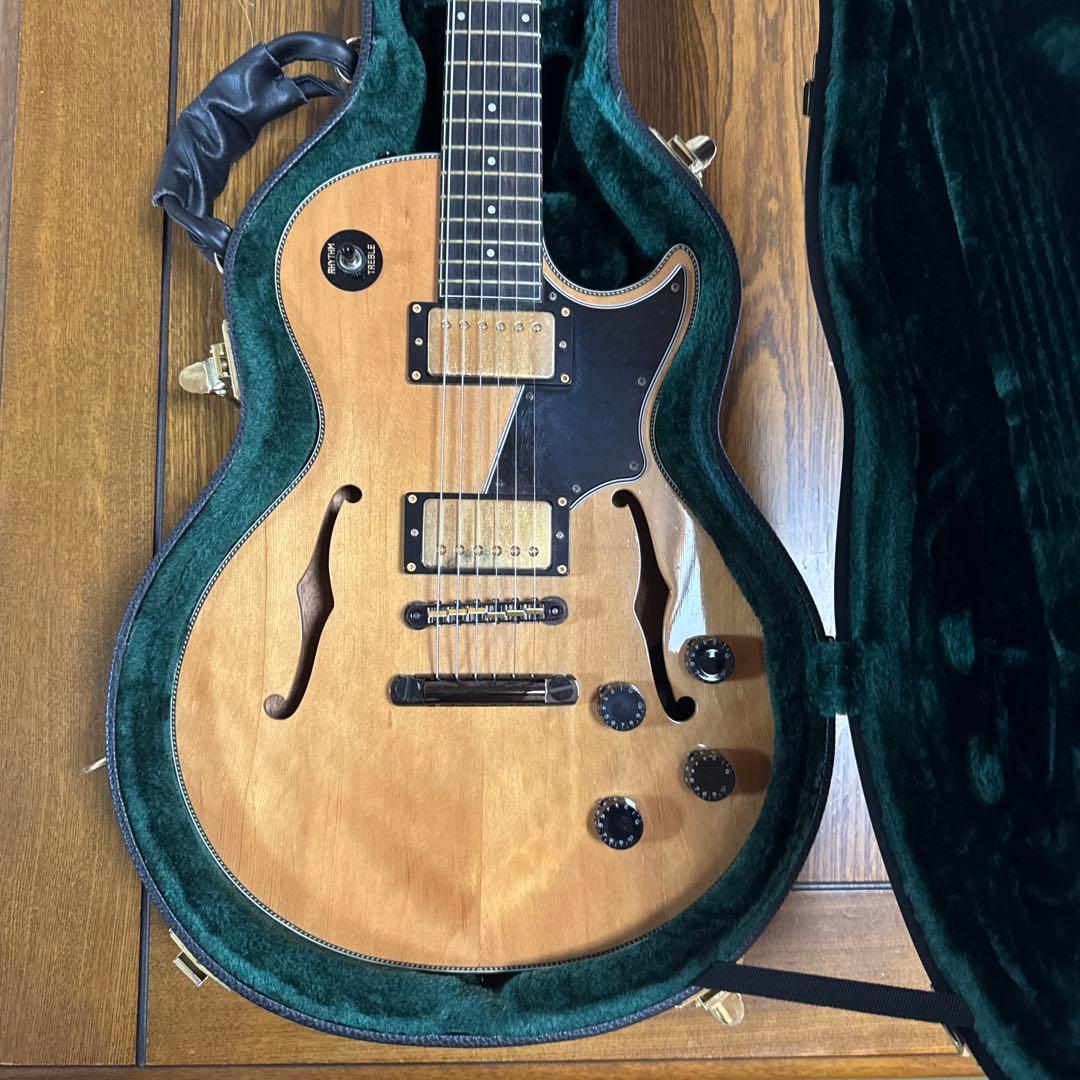 Security Seven エレキギター ハードケース付き