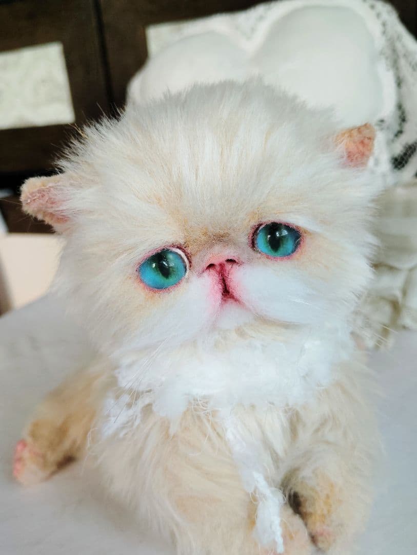 短足ころころボディ♡子猫ちゃん♡アートドール♡ぬいぐるみ♡