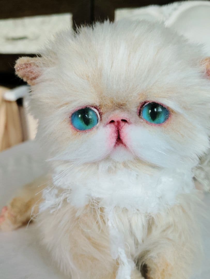 短足ころころボディ♡子猫ちゃん♡アートドール♡ぬいぐるみ♡