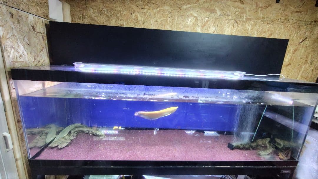 大型アクリル水槽　1800×600×600（h） 上部フィルター