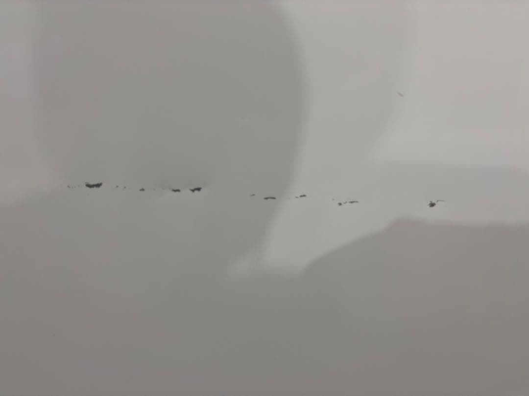 お盆セール！ニトリ 2ドア冷蔵庫 NTR-106WH 2020年製