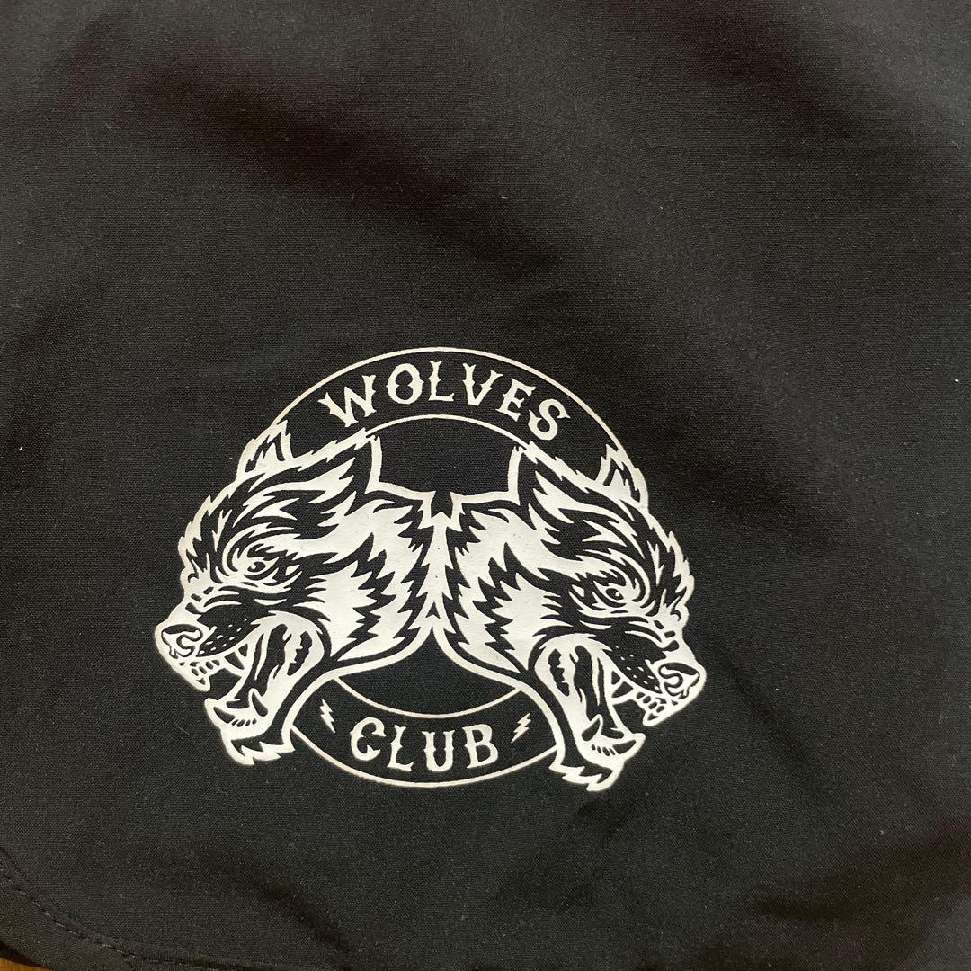 DARC SPORT ダルクスポーツ　サーフパンツ　フィジーク（サイズ30)