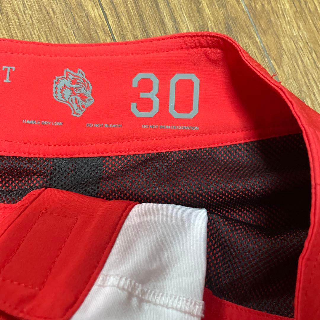 DARC SPORT ダルクスポーツ　サーフパンツ　フィジーク（サイズ30)