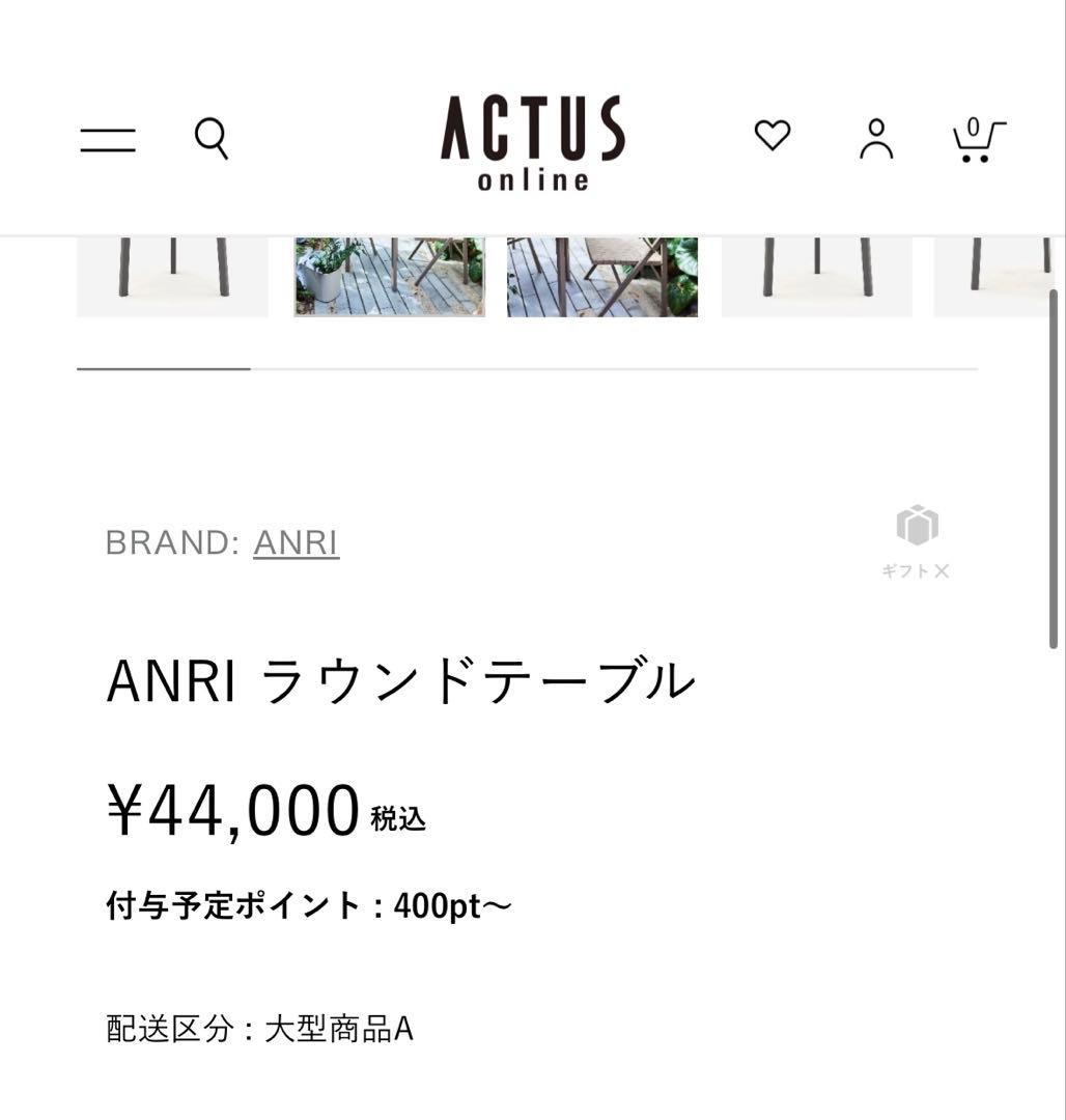 ACTUS ANRI ラウンドテーブル