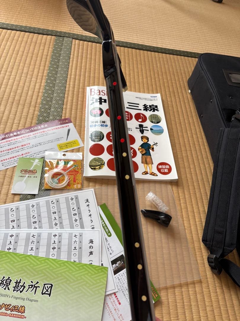沖縄三線 初心者 入門者 専用ケース付