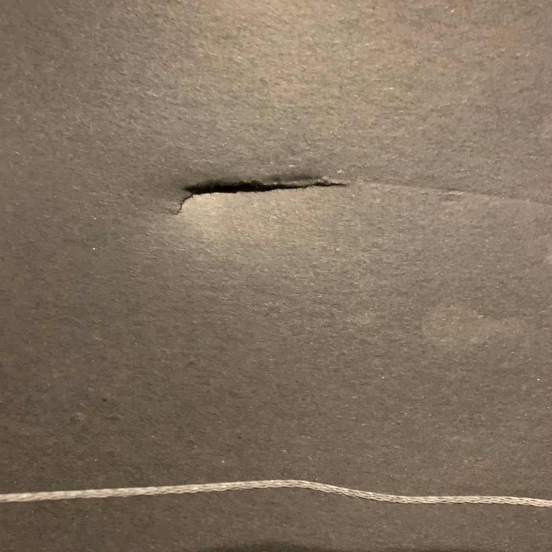 NEONETICS ネオン管アートパネル　WILDTHINGS