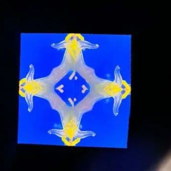 最終価格　代永正樹さん　万華鏡　1点物