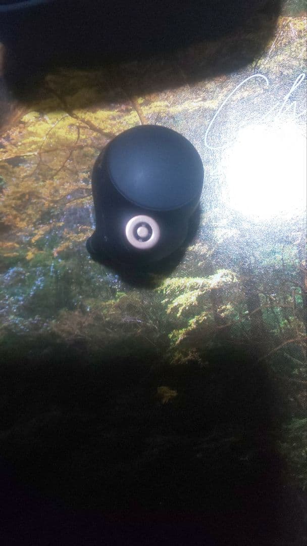 1ヶ月保証付　ケース イヤホン両方バッテリー新品交換　wf-1000xm4おまけ